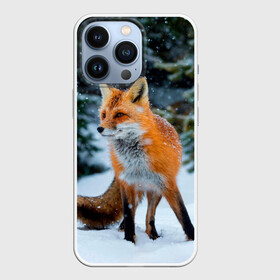 Чехол для iPhone 13 Pro с принтом Лиса в зимнем лесу в Новосибирске,  |  | fox | foxy | в | животные | звери | зима | зимний | зимняя | лес | лиса | лисичка | лисы | природа | снег | снежная