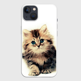 Чехол для iPhone 13 с принтом катёнок в Новосибирске,  |  | cute kitten | kitten | котёнок | красивый котёнок | милый котёнок