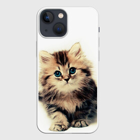 Чехол для iPhone 13 mini с принтом катёнок в Новосибирске,  |  | cute kitten | kitten | котёнок | красивый котёнок | милый котёнок