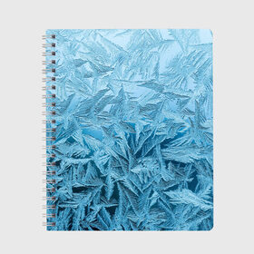Тетрадь с принтом Иней в Новосибирске, 100% бумага | 48 листов, плотность листов — 60 г/м2, плотность картонной обложки — 250 г/м2. Листы скреплены сбоку удобной пружинной спиралью. Уголки страниц и обложки скругленные. Цвет линий — светло-серый
 | абстрактные | абстрактный | абстракция | зима | зимние | зимний | изморозь | иней | лёд | льды | мороз | новый год | холод