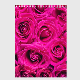 Скетчбук с принтом Розы в Новосибирске, 100% бумага
 | 48 листов, плотность листов — 100 г/м2, плотность картонной обложки — 250 г/м2. Листы скреплены сверху удобной пружинной спиралью | абстрактно | абстрактные | абстрактный | абстракция | красные | роза | розовые | розы | цветок | цветочек | цветочки | цветочный | цветы