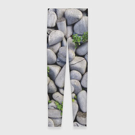 Леггинсы 3D с принтом Камни в Новосибирске, 80% полиэстер, 20% эластан | Эластичный пояс, зауженные к низу, низкая посадка | абстрактно | абстрактные | абстрактный | абстракция | галька | каменные | каменный | камень | камни | камушки | клевер | природа | растения