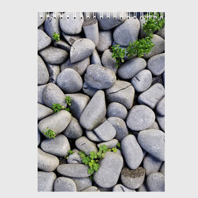 Скетчбук с принтом Камни в Новосибирске, 100% бумага
 | 48 листов, плотность листов — 100 г/м2, плотность картонной обложки — 250 г/м2. Листы скреплены сверху удобной пружинной спиралью | абстрактно | абстрактные | абстрактный | абстракция | галька | каменные | каменный | камень | камни | камушки | клевер | природа | растения