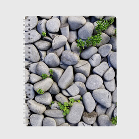 Тетрадь с принтом Камни в Новосибирске, 100% бумага | 48 листов, плотность листов — 60 г/м2, плотность картонной обложки — 250 г/м2. Листы скреплены сбоку удобной пружинной спиралью. Уголки страниц и обложки скругленные. Цвет линий — светло-серый
 | абстрактно | абстрактные | абстрактный | абстракция | галька | каменные | каменный | камень | камни | камушки | клевер | природа | растения