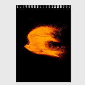 Скетчбук с принтом Огненная птица в Новосибирске, 100% бумага
 | 48 листов, плотность листов — 100 г/м2, плотность картонной обложки — 250 г/м2. Листы скреплены сверху удобной пружинной спиралью | мечта | огненная птица | огонь | орел | полет | птица | сокол | стремление | фантазия | феникс