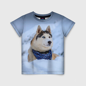 Детская футболка 3D с принтом Хаски в Новосибирске, 100% гипоаллергенный полиэфир | прямой крой, круглый вырез горловины, длина до линии бедер, чуть спущенное плечо, ткань немного тянется | dog | животные | пес | природа | собака | собаки | собакчка | собачки | хаски