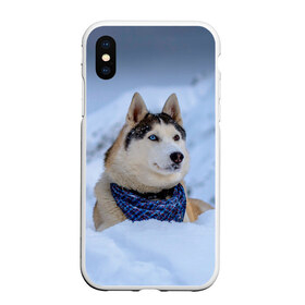 Чехол для iPhone XS Max матовый с принтом Хаски в Новосибирске, Силикон | Область печати: задняя сторона чехла, без боковых панелей | dog | животные | пес | природа | собака | собаки | собакчка | собачки | хаски