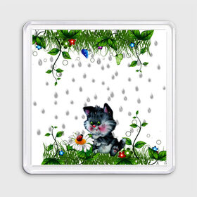 Магнит 55*55 с принтом котёнок в Новосибирске, Пластик | Размер: 65*65 мм; Размер печати: 55*55 мм | Тематика изображения на принте: божья коровка | дождик | котёнок | цветы