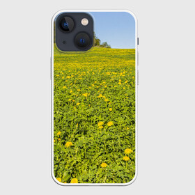 Чехол для iPhone 13 mini с принтом Поле одуванчиков в Новосибирске,  |  | Тематика изображения на принте: одуванчики | одуванчиков | пейзаж | пейзажи | поле | поля | природа | природный | растение | растения | флора | цветок | цветы