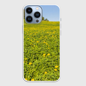 Чехол для iPhone 13 Pro Max с принтом Поле одуванчиков в Новосибирске,  |  | Тематика изображения на принте: одуванчики | одуванчиков | пейзаж | пейзажи | поле | поля | природа | природный | растение | растения | флора | цветок | цветы