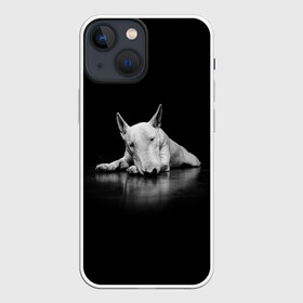 Чехол для iPhone 13 mini с принтом Puppy в Новосибирске,  |  | bull terrier | dog | ears | eyes | muzzle | nose | paws | puppy | бультерьер | глаза | лапы | нос | уши | щенок