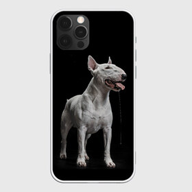 Чехол для iPhone 12 Pro Max с принтом Bully в Новосибирске, Силикон |  | Тематика изображения на принте: bull terrier | dog | ears | eyes | fangs | jaw | muzzle | paws | saliva | tongue | бультерьер | глаза | клыки | лапы | нос | пасть | слюна | собака | уши | язык
