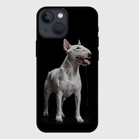 Чехол для iPhone 13 mini с принтом Bully в Новосибирске,  |  | Тематика изображения на принте: bull terrier | dog | ears | eyes | fangs | jaw | muzzle | paws | saliva | tongue | бультерьер | глаза | клыки | лапы | нос | пасть | слюна | собака | уши | язык