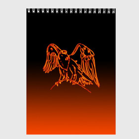 Скетчбук с принтом Огненный орел в Новосибирске, 100% бумага
 | 48 листов, плотность листов — 100 г/м2, плотность картонной обложки — 250 г/м2. Листы скреплены сверху удобной пружинной спиралью | bird | eagle | falcon | fiery | fire | neon | orange | арт | беркут | горящая птица | дикий | животные | крылья | неоновый | огненная птица | орел | орлан | перья | пламя | природа | птица | птица огонь | птичка | сокол