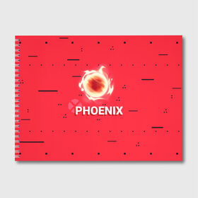 Альбом для рисования с принтом Phoenix в Новосибирске, 100% бумага
 | матовая бумага, плотность 200 мг. | new year | phoenix | phoenix valorant | valorant | valorant новогодний | агент валорант. | агент феникс | валорант | валорант новогодний | валорант узор | валорант феникс | игрок феникс | нг | новый год | орнамент | паттерн