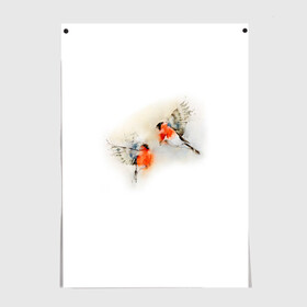 Постер с принтом Снегири в Новосибирске, 100% бумага
 | бумага, плотность 150 мг. Матовая, но за счет высокого коэффициента гладкости имеет небольшой блеск и дает на свету блики, но в отличии от глянцевой бумаги не покрыта лаком | животные | зима | новый год | птицы | снег | снегири
