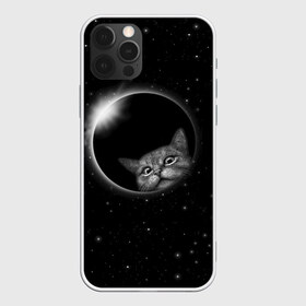 Чехол для iPhone 12 Pro Max с принтом Кот в Космосе в Новосибирске, Силикон |  | 2021 | cat | вселенная | галактика | галактический кот | единорог | звезда | звезды | земля | космический кот | космос | кот | кот в космосе | кот мем | котик | кошак | мем | мемы | милый кот | милый котик