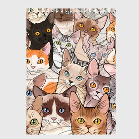 Скетчбук с принтом Котики в Новосибирске, 100% бумага
 | 48 листов, плотность листов — 100 г/м2, плотность картонной обложки — 250 г/м2. Листы скреплены сверху удобной пружинной спиралью | cat | cats | cosmos | kitten | mem | memes | rose | roses | глаза | глазки | киска | космос | кот | котёнок | котик | котики | котэ | котята | кошак | кошка | кошки | красивая | мем | мемчики | милая | прикольная | розы | светлая