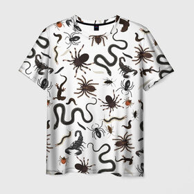 Мужская футболка 3D с принтом Жуткие насекомые в Новосибирске, 100% полиэфир | прямой крой, круглый вырез горловины, длина до линии бедер | Тематика изображения на принте: арт | белый | живность | животные | жук | жуткие насекомые | жуть | змея | клоп | набор насекомых | опарыш | паразит | паук | пиявка | рисунок | сколопендра | скорпион | таракан | фон | червь | ядовитый