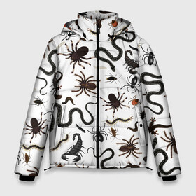 Мужская зимняя куртка 3D с принтом Жуткие насекомые в Новосибирске, верх — 100% полиэстер; подкладка — 100% полиэстер; утеплитель — 100% полиэстер | длина ниже бедра, свободный силуэт Оверсайз. Есть воротник-стойка, отстегивающийся капюшон и ветрозащитная планка. 

Боковые карманы с листочкой на кнопках и внутренний карман на молнии. | Тематика изображения на принте: арт | белый | живность | животные | жук | жуткие насекомые | жуть | змея | клоп | набор насекомых | опарыш | паразит | паук | пиявка | рисунок | сколопендра | скорпион | таракан | фон | червь | ядовитый
