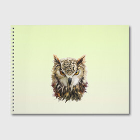 Альбом для рисования с принтом арт сова яркая в Новосибирске, 100% бумага
 | матовая бумага, плотность 200 мг. | акварель | вектор | внутренний дух | животное | зверь | крылья | образ | полет | природа | птица | рисунок | свобода | силуэт | сова | темный | филин | яркая