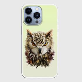 Чехол для iPhone 13 Pro с принтом арт сова яркая в Новосибирске,  |  | акварель | вектор | внутренний дух | животное | зверь | крылья | образ | полет | природа | птица | рисунок | свобода | силуэт | сова | темный | филин | яркая