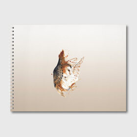 Альбом для рисования с принтом летящая сова рисунок в Новосибирске, 100% бумага
 | матовая бумага, плотность 200 мг. | Тематика изображения на принте: акварель | акварельный | арт | брызги | градиент | животные | звери | краска | крылья | момент | полет | потеки | рисунок | скетч | сова | филин