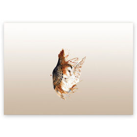 Поздравительная открытка с принтом летящая сова рисунок в Новосибирске, 100% бумага | плотность бумаги 280 г/м2, матовая, на обратной стороне линовка и место для марки
 | Тематика изображения на принте: акварель | акварельный | арт | брызги | градиент | животные | звери | краска | крылья | момент | полет | потеки | рисунок | скетч | сова | филин
