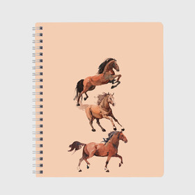 Тетрадь с принтом три коня в Новосибирске, 100% бумага | 48 листов, плотность листов — 60 г/м2, плотность картонной обложки — 250 г/м2. Листы скреплены сбоку удобной пружинной спиралью. Уголки страниц и обложки скругленные. Цвет линий — светло-серый
 | horse | horseshoe | акварель | головалошади | грива | жеребец | животные | конь | лошадь | лошадьскрыльями | подкова | природа | рисуноккрасками