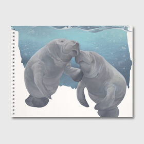 Альбом для рисования с принтом Ламантины в Новосибирске, 100% бумага
 | матовая бумага, плотность 200 мг. | carpg | manatee | животные | ламантин | морская корова