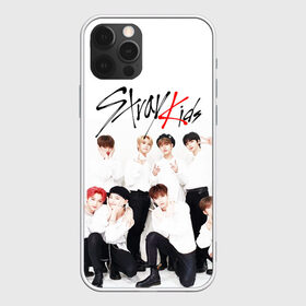 Чехол для iPhone 12 Pro Max с принтом STRAY KIDS в Новосибирске, Силикон |  | Тематика изображения на принте: bang chan | changbin | felix | han | hyunjin | i.n. | k pop | lee know | seungmin | skz | stray kids | идолы | к поп