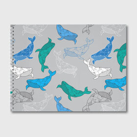 Альбом для рисования с принтом Узор с китами на сером в Новосибирске, 100% бумага
 | матовая бумага, плотность 200 мг. | графика | кит | морской | рыба | серый | синий | узор