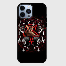 Чехол для iPhone 13 Pro Max с принтом Satanic Cat в Новосибирске,  |  | Тематика изображения на принте: satan | киска | кот | кот мем | кошечка | кошка | кошки и коты | лиса | лисы | мем | мемы | с кошкой | сатана