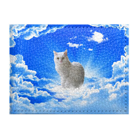 Обложка для студенческого билета с принтом Кот в облаках в Новосибирске, натуральная кожа | Размер: 11*8 см; Печать на всей внешней стороне | Тематика изображения на принте: animals | cat | kitty | ангел | белый кот | блики | взгляд кота | глаза кота | животные | киска | кот | котейка | котенок | котик | кошак | кошка | лучи | мордочка | небесный | небо | облака | пейзаж | питомец