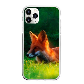 Чехол для iPhone 11 Pro Max матовый с принтом Рыжая лиса в Новосибирске, Силикон |  | Тематика изображения на принте: fox | foxy | животное | звери | лиса | лисенок | лисичка | милая | рыжая | фокс