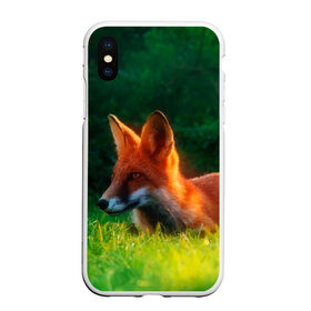 Чехол для iPhone XS Max матовый с принтом Рыжая лиса в Новосибирске, Силикон | Область печати: задняя сторона чехла, без боковых панелей | Тематика изображения на принте: fox | foxy | животное | звери | лиса | лисенок | лисичка | милая | рыжая | фокс