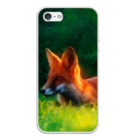 Чехол для iPhone 5/5S матовый с принтом Рыжая лиса в Новосибирске, Силикон | Область печати: задняя сторона чехла, без боковых панелей | Тематика изображения на принте: fox | foxy | животное | звери | лиса | лисенок | лисичка | милая | рыжая | фокс