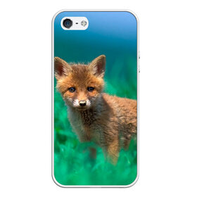 Чехол для iPhone 5/5S матовый с принтом маленький лисенок в Новосибирске, Силикон | Область печати: задняя сторона чехла, без боковых панелей | Тематика изображения на принте: fox | foxy | животное | звери | лиса | лисенок | лисичка | милая | рыжая | фокс
