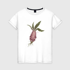 Женская футболка хлопок с принтом Мандрагора в Новосибирске, 100% хлопок | прямой крой, круглый вырез горловины, длина до линии бедер, слегка спущенное плечо | корни | листочки | растение | фэнтези