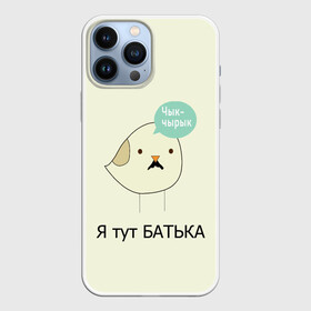 Чехол для iPhone 13 Pro Max с принтом Чык чырык в Новосибирске,  |  | belarus | chyk chyryk | daddy | lukashenka | mustache | print chyk chyryk | sparrow | sparrow chyk chyryk | sparrow with mustache | батька | беларусь | воробей | воробей с усами | воробей чык чырык | лукашенко | принт чык чырык | усы | чык ч