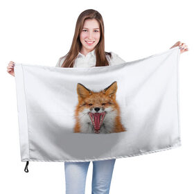 Флаг 3D с принтом Снежная лиса в Новосибирске, 100% полиэстер | плотность ткани — 95 г/м2, размер — 67 х 109 см. Принт наносится с одной стороны | Тематика изображения на принте: fox | foxy | животное | звери | лиса | лисенок | лисичка | милая | рыжая | фокс