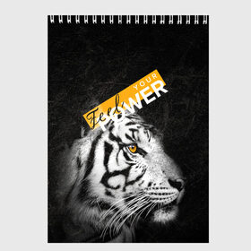 Скетчбук с принтом Почувствуй свою силу в Новосибирске, 100% бумага
 | 48 листов, плотность листов — 100 г/м2, плотность картонной обложки — 250 г/м2. Листы скреплены сверху удобной пружинной спиралью | feel | power | tiger | белый | животное | сила | тигр | хищник | черный