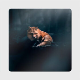 Магнит виниловый Квадрат с принтом Мудрый лис в Новосибирске, полимерный материал с магнитным слоем | размер 9*9 см, закругленные углы | Тематика изображения на принте: fox | foxy | животное | звери | лиса | лисенок | лисичка | милая | рыжая | фокс