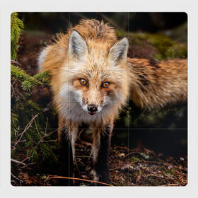 Магнитный плакат 3Х3 с принтом Лиса в Новосибирске, Полимерный материал с магнитным слоем | 9 деталей размером 9*9 см | fox | foxy | животное | звери | лиса | лисенок | лисичка | милая | рыжая | фокс