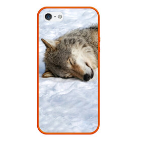 Чехол для iPhone 5/5S матовый с принтом Спящий Волк в Новосибирске, Силикон | Область печати: задняя сторона чехла, без боковых панелей | animals | wolf | волк | волки | животные | звери | зверь | одиночество | одиночка | пёс | собака | спящий волк