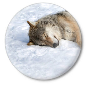 Значок с принтом Спящий Волк в Новосибирске,  металл | круглая форма, металлическая застежка в виде булавки | animals | wolf | волк | волки | животные | звери | зверь | одиночество | одиночка | пёс | собака | спящий волк