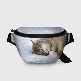 Поясная сумка 3D с принтом Спящий Волк в Новосибирске, 100% полиэстер | плотная ткань, ремень с регулируемой длиной, внутри несколько карманов для мелочей, основное отделение и карман с обратной стороны сумки застегиваются на молнию | animals | wolf | волк | волки | животные | звери | зверь | одиночество | одиночка | пёс | собака | спящий волк