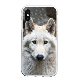 Чехол для iPhone XS Max матовый с принтом Волк в Новосибирске, Силикон | Область печати: задняя сторона чехла, без боковых панелей | animals | wolf | волк | волки | животные | звери | зверь | луна | одиночество | одиночка | пёс | собака
