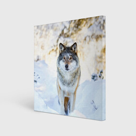 Холст квадратный с принтом Я зимой в Новосибирске, 100% ПВХ |  | animals | wolf | волк | волки | животные | звери | зверь | луна | одиночество | одиночка | пёс | собака