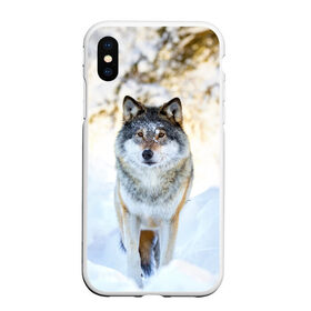 Чехол для iPhone XS Max матовый с принтом Я зимой в Новосибирске, Силикон | Область печати: задняя сторона чехла, без боковых панелей | animals | wolf | волк | волки | животные | звери | зверь | луна | одиночество | одиночка | пёс | собака